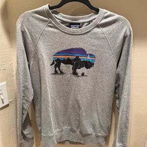 Patagonia Organic Cotton Gray Crewneck Sweater with Graphic